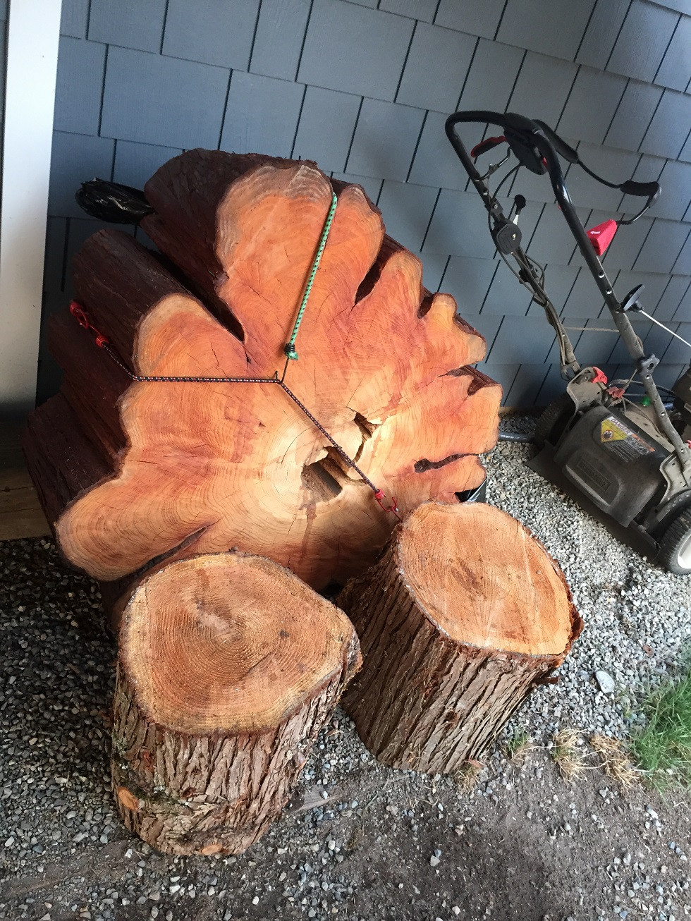 cedar tree round and logs