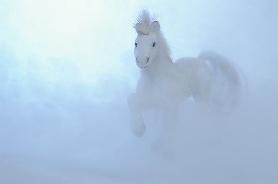 frozen horse