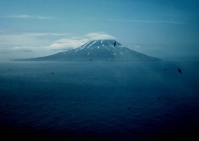 Matua Island