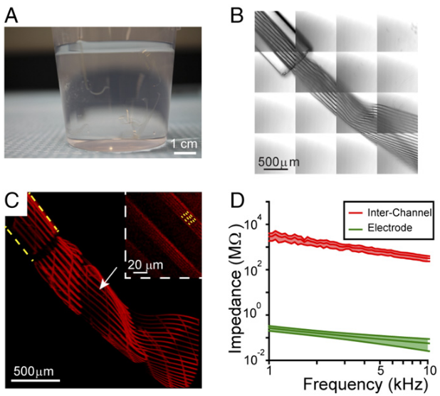 Mesh Circuits