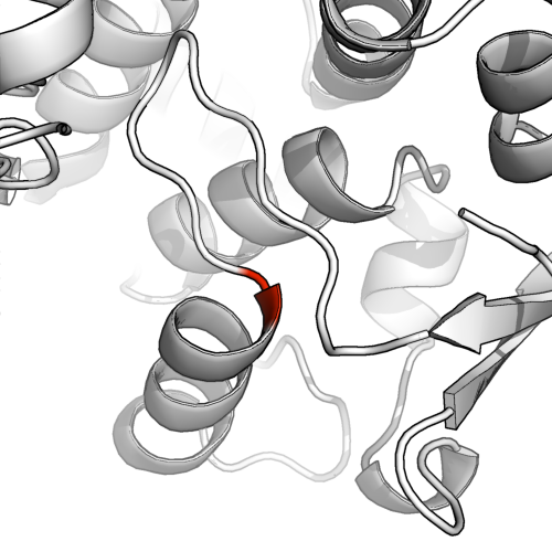 image showing that the residue is now part of the beginning of the helix