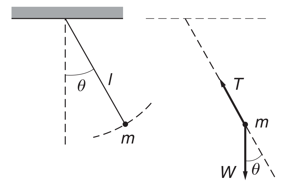 simple pendulum