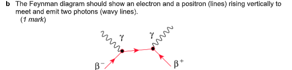 Feynman Diagram