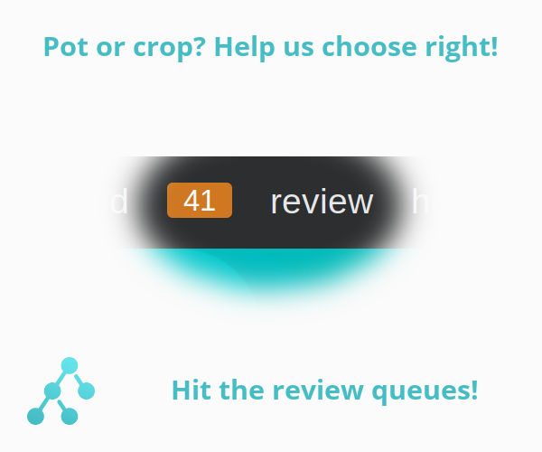 Review queues