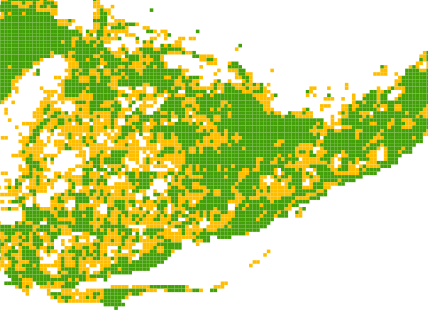 Map with clumped grid cells in green and yellow