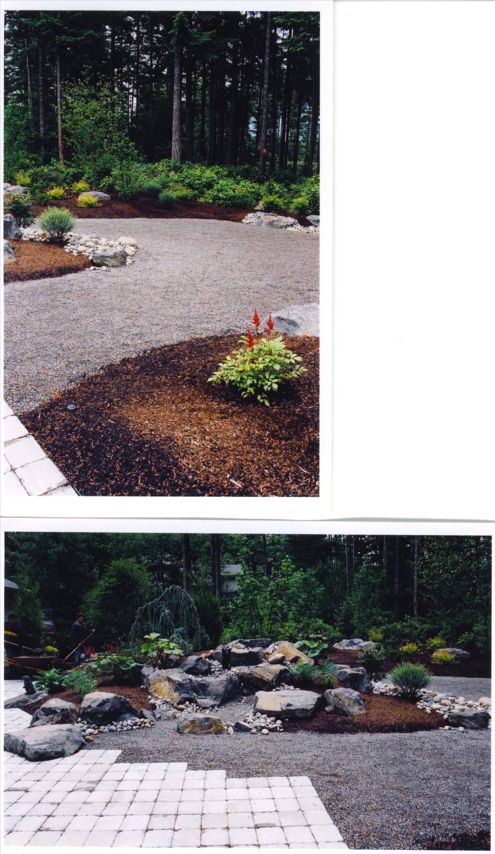 Removing lawn replacing with 3/8 minus crushed gravel 4" thick over landscape fabric