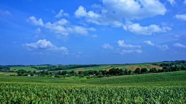 Summer landscape