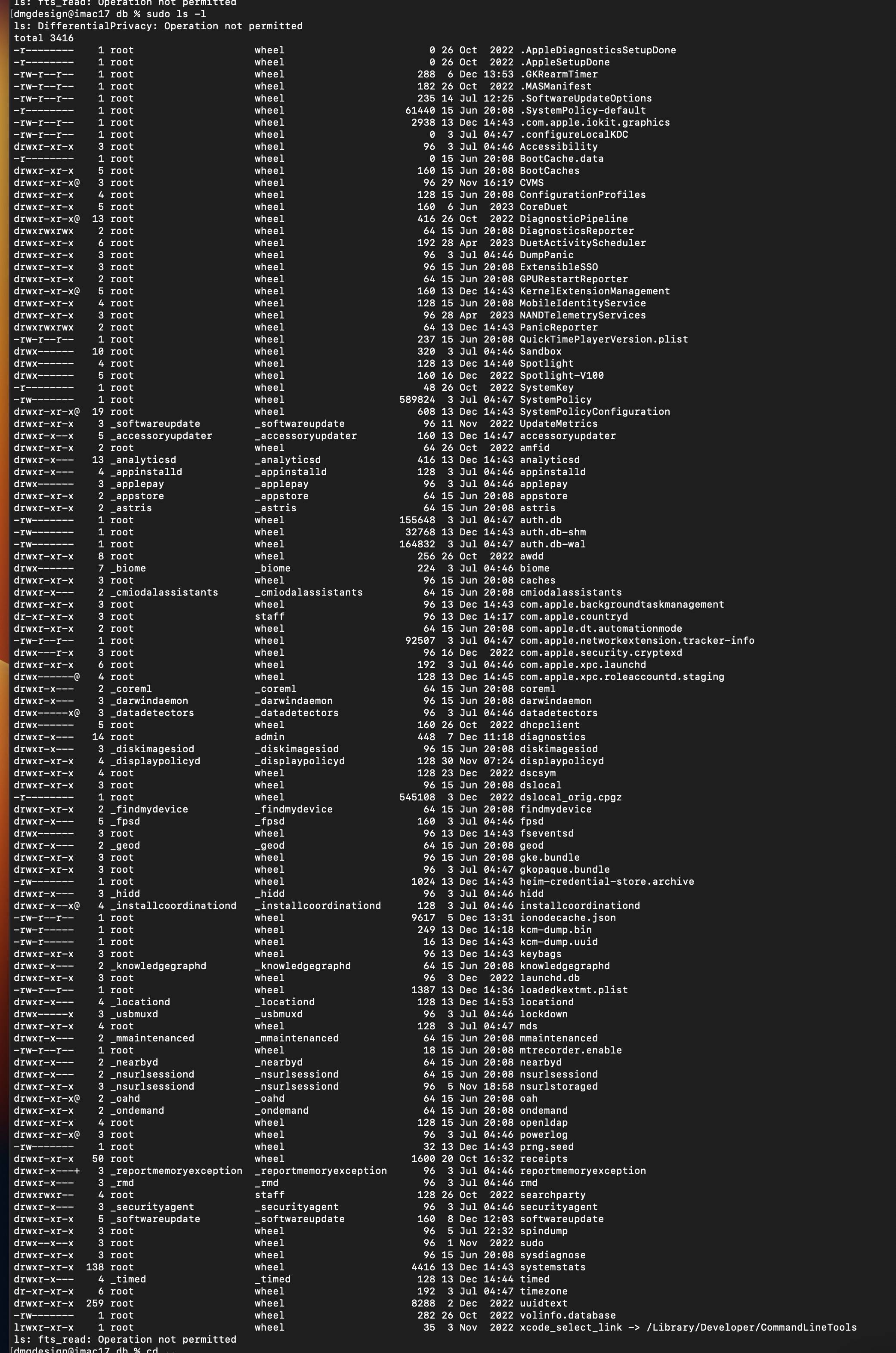 terminal output of sudo ls -l