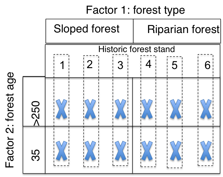 To conceptualize the experimental design, this shows the split plot layout. However, my challenge is that at each X there are two measures that are dependent