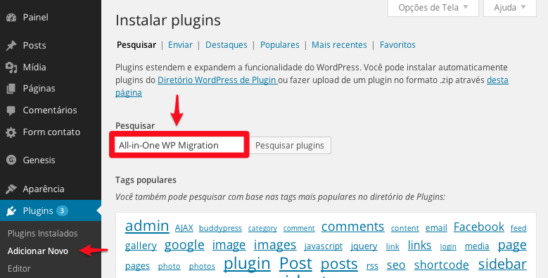 Instalando o plugin pelo instalador nativo do WordPress