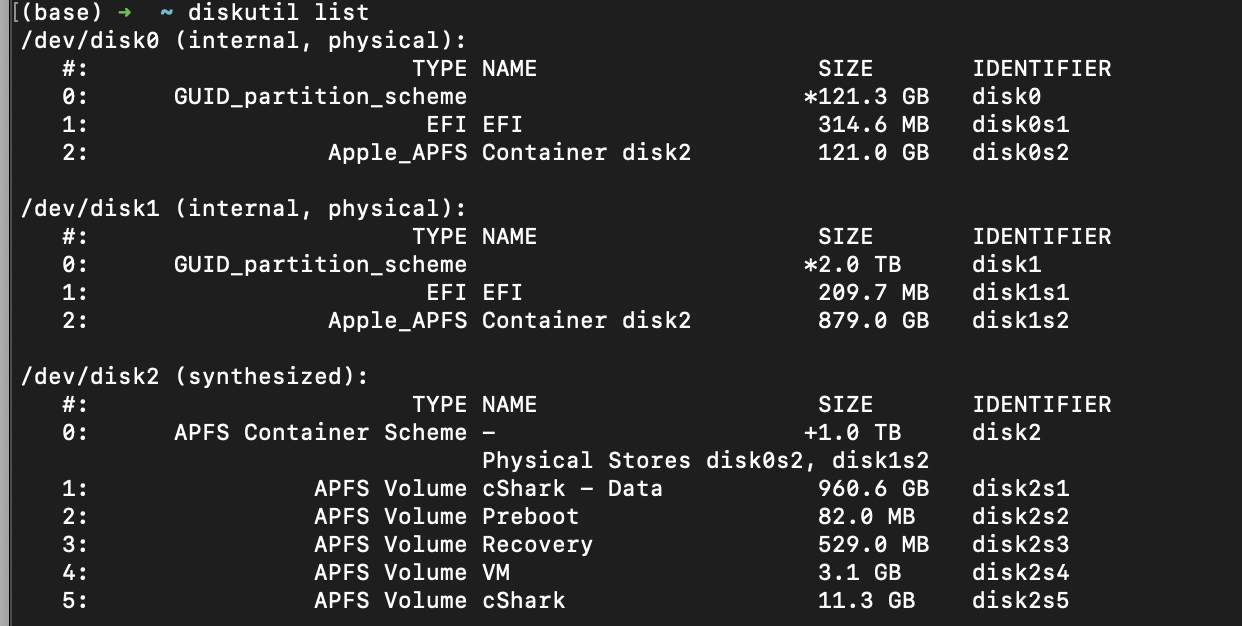 diskutil list output