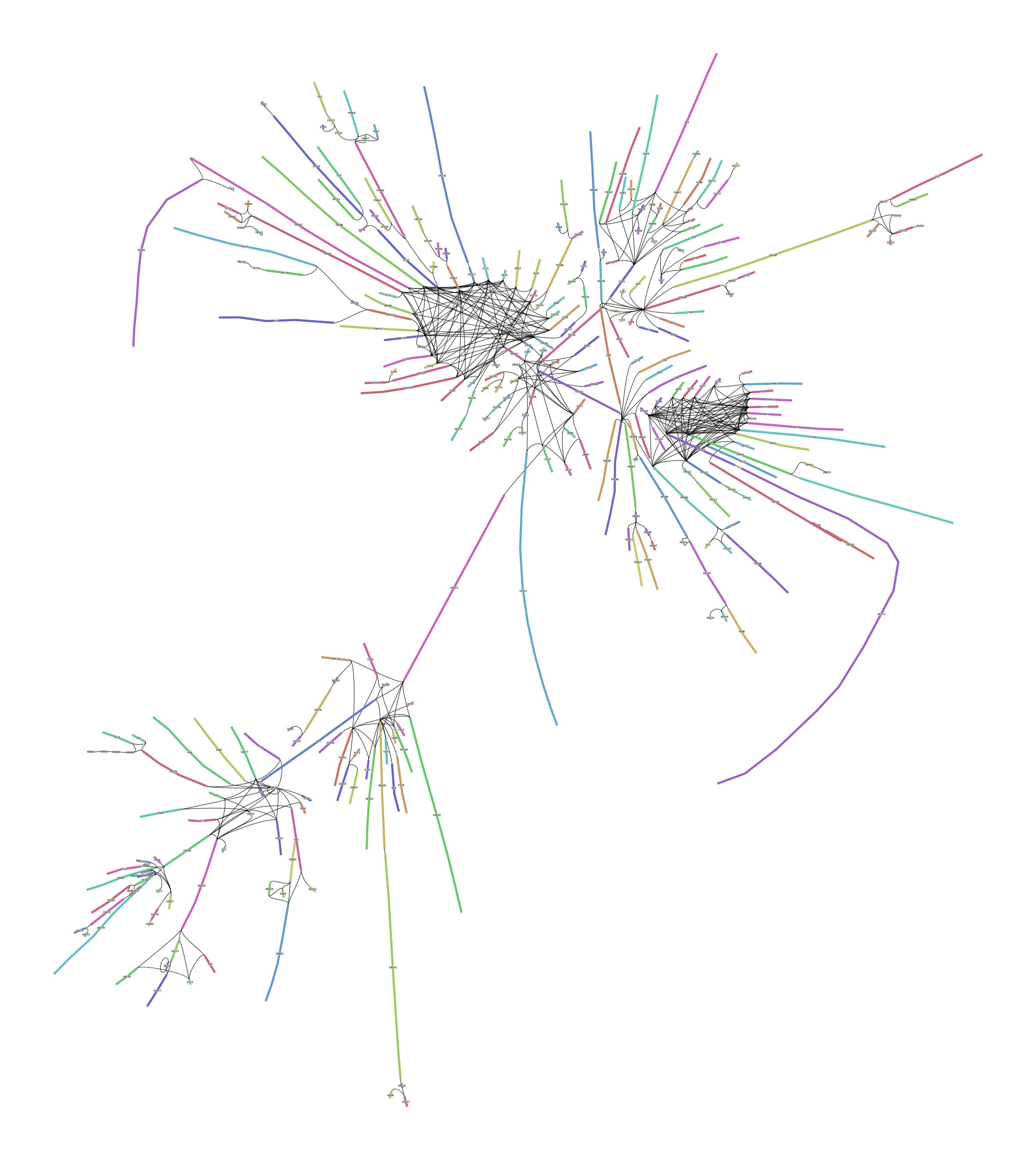 60Mb linked structure from Canu GFA