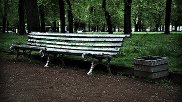 Bench in the park