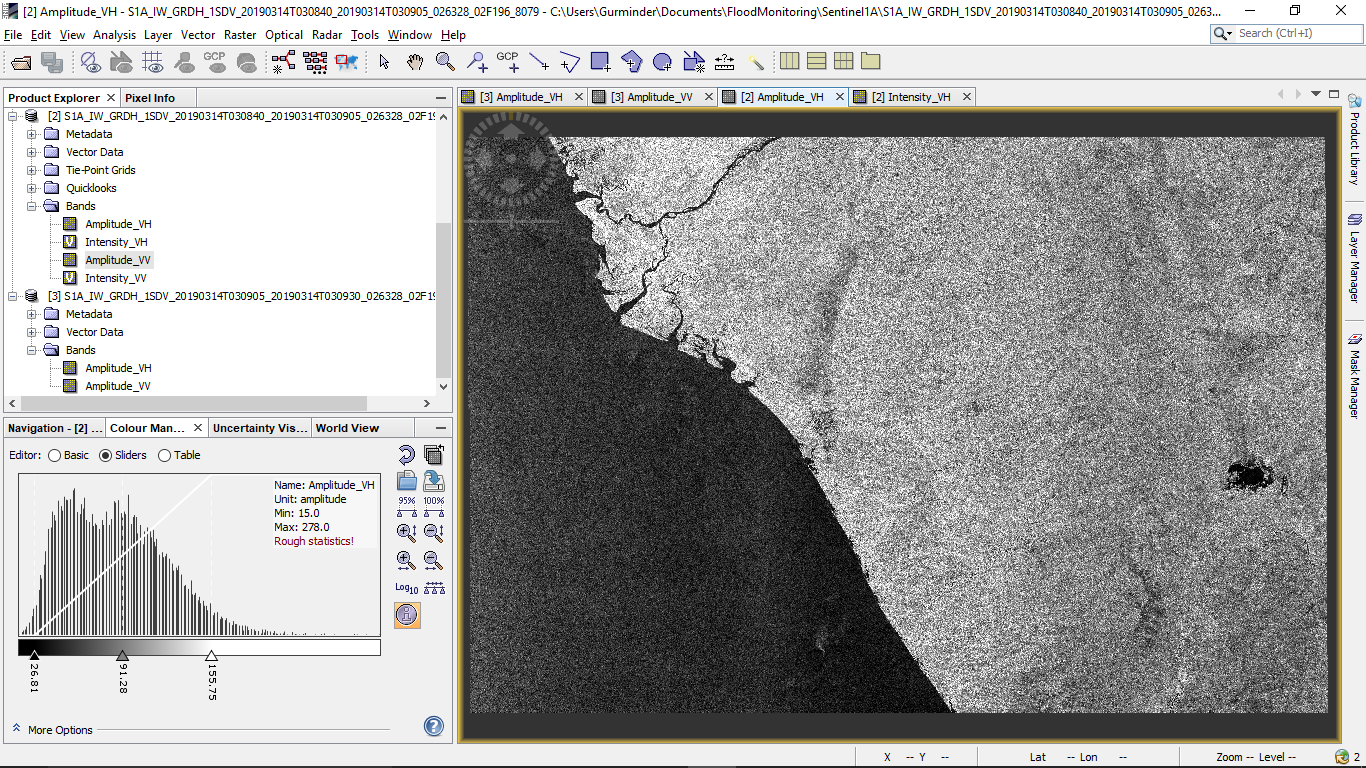 RAW image of the SAR data in SNAP