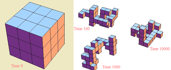 Polycubes