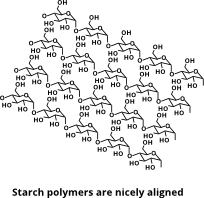 Nicely aligned starch polymers