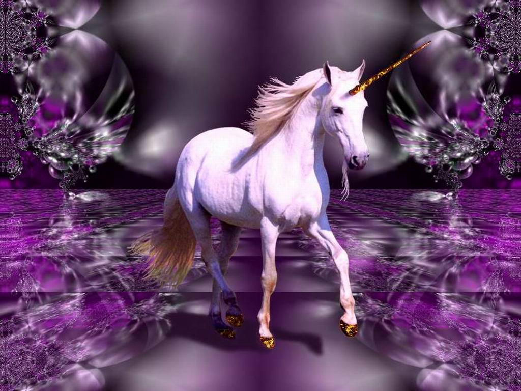 Unicorn Sue 's user avatar