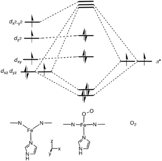 Depiction ofthe electronic structure of the iron(II)-heme complex