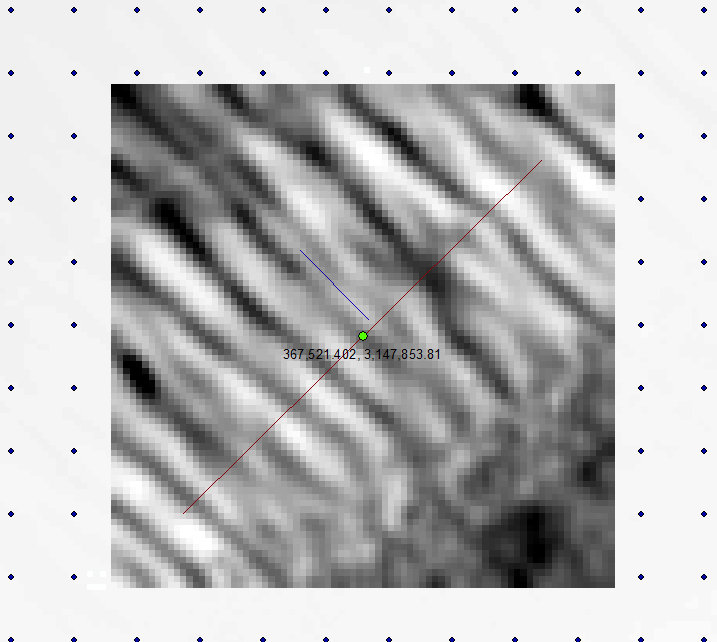 Moving-window analysis neighborhood; extracted portion of topographic features.