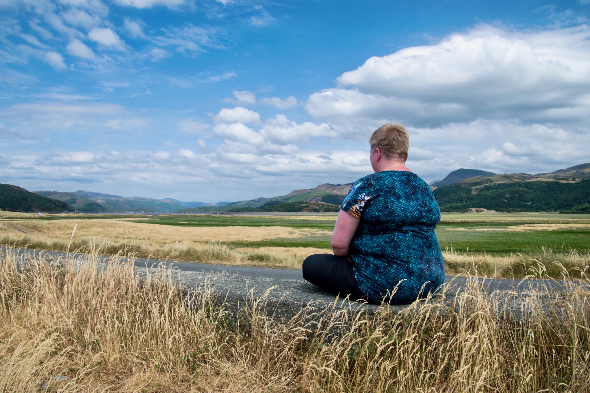 Lizzan looking towards the Mawddach Estuary