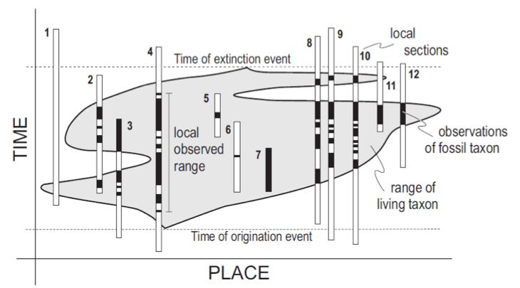 Illustration of the problem of diachronism