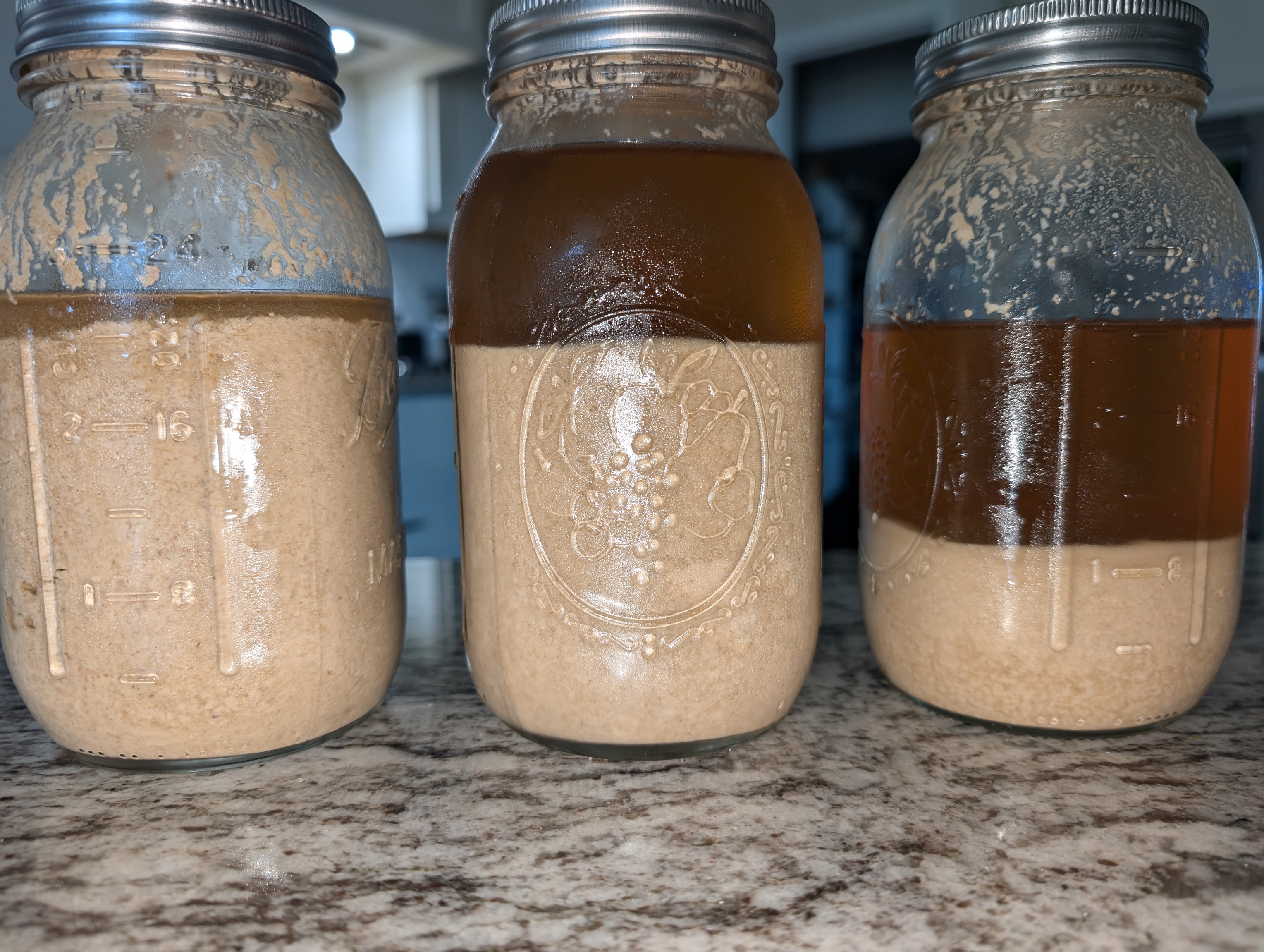 Picture of ESB yeast