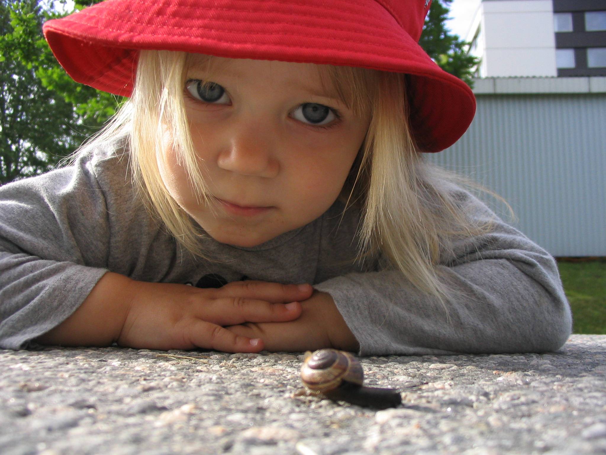 Ella and the snail