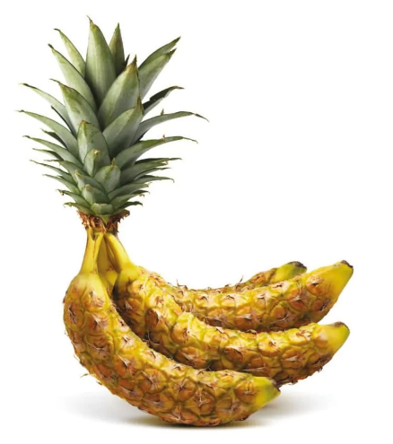 BanAnanas's user avatar