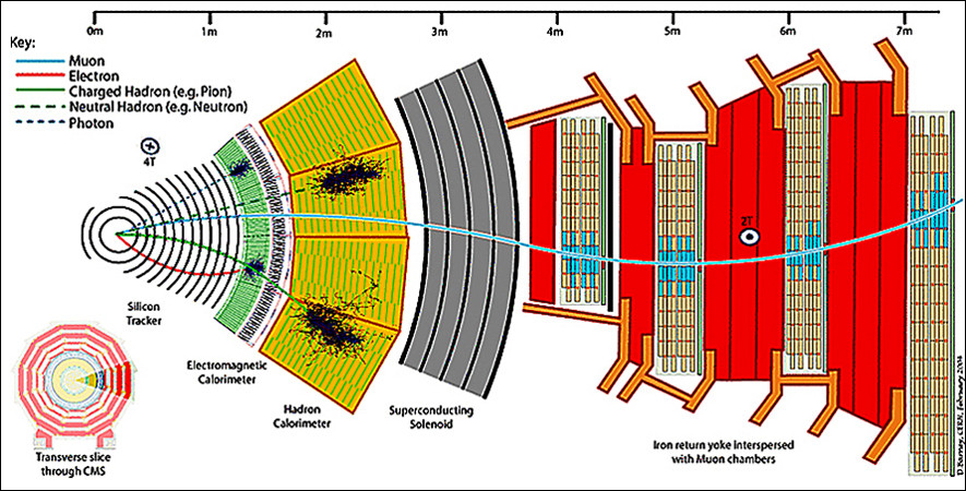 cmsdetector