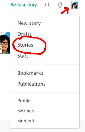 gravatar drop-down, "stories" circled