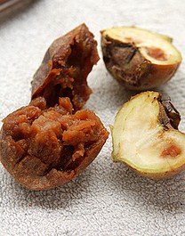 bletted medlars