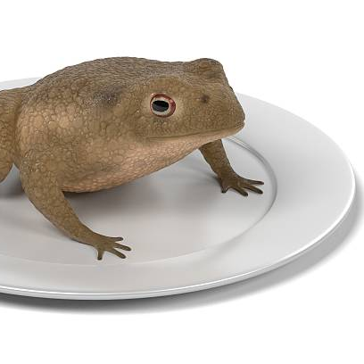 frogsfordinner's user avatar