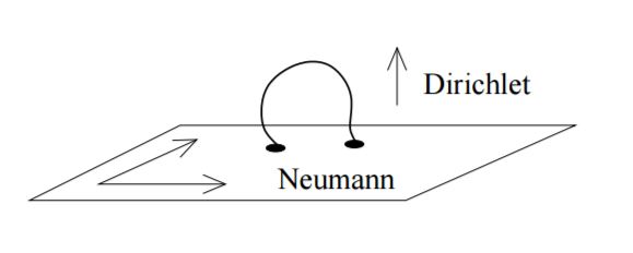 D-brane and string