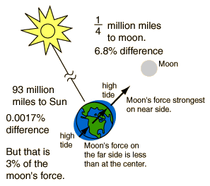 Sun and Moon tidal force