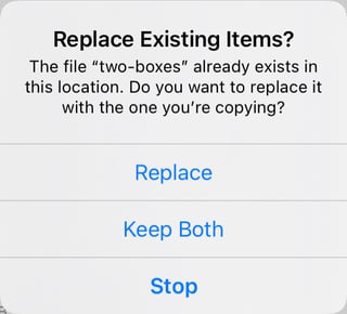 A “Replace Existing Items?” dialog