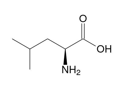 Leucine