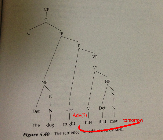 A syntax tree for "The dog might bite the man."