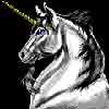 Unicorn's user avatar