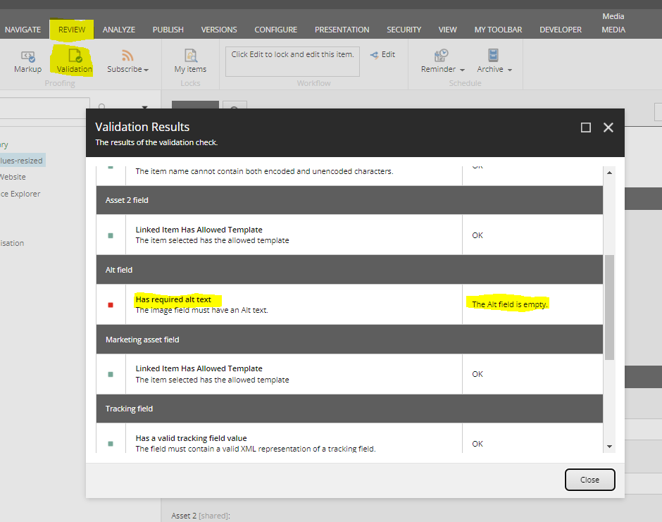 Alt field validation dialog window