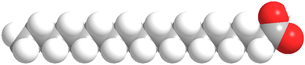 stearic acid