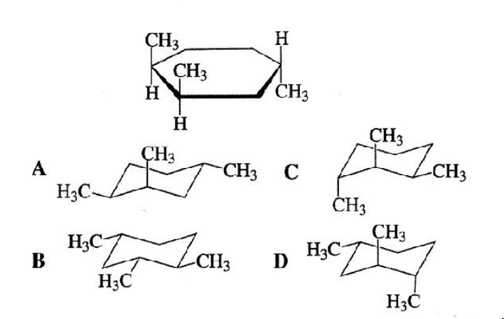 Finding which Haworth projection best depicts trimethylcyclohexane