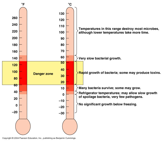 danger zone thermometer