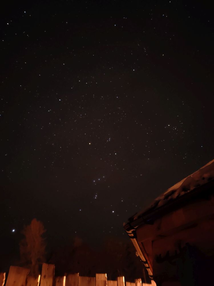 Orion