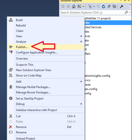 publicando site no visual studio
