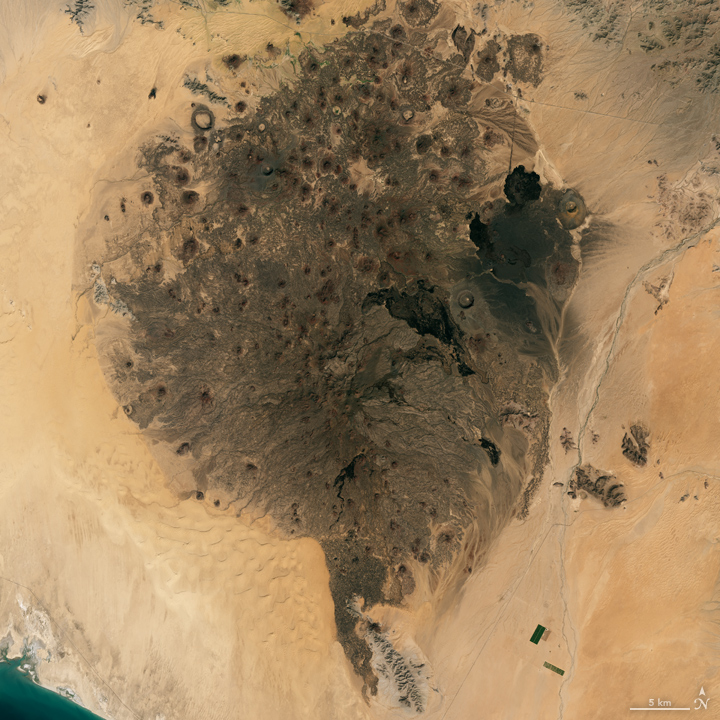 Satellite image of the Pinacate volcanic field