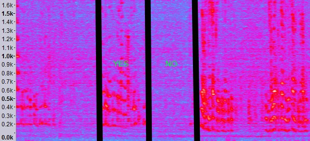 yes no spectrogram filter