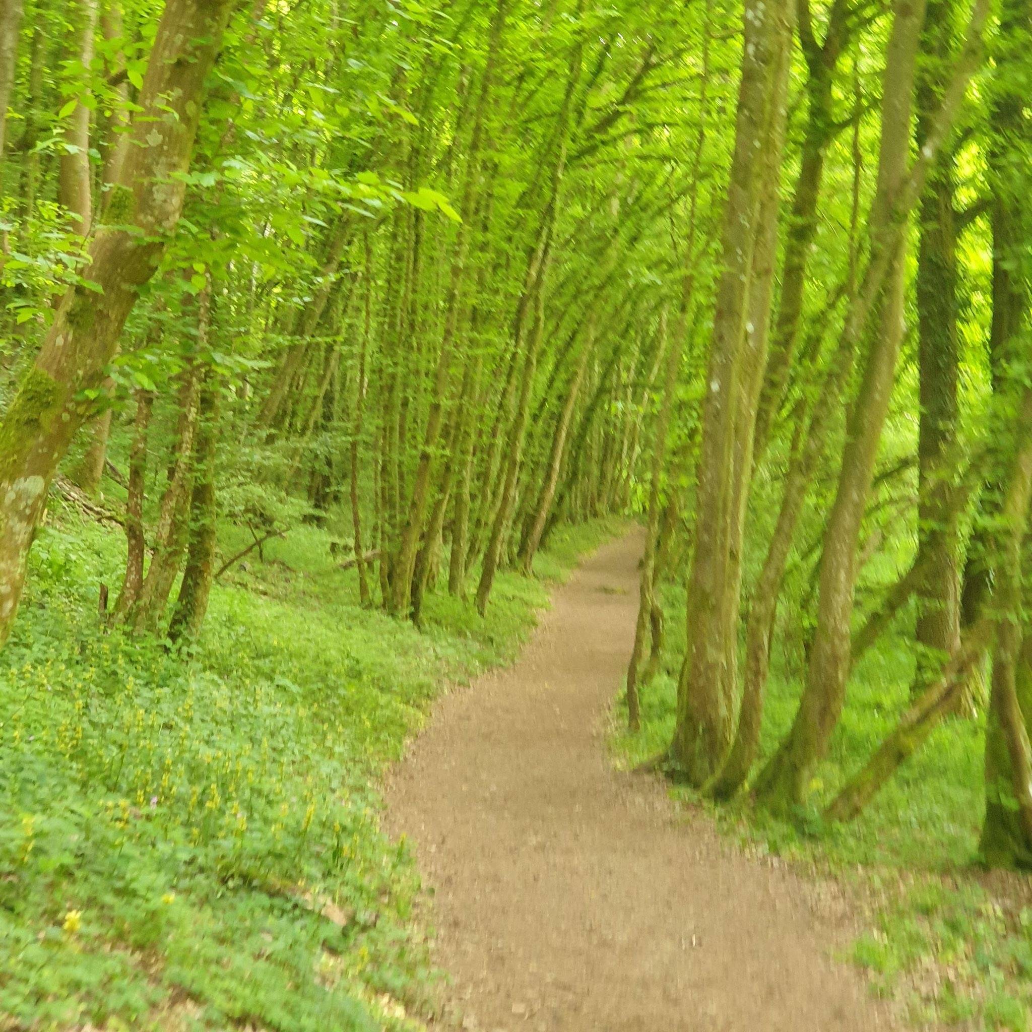 Odenwald