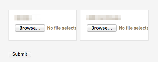 file upload field widget screenshot