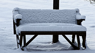 Winter Cushions