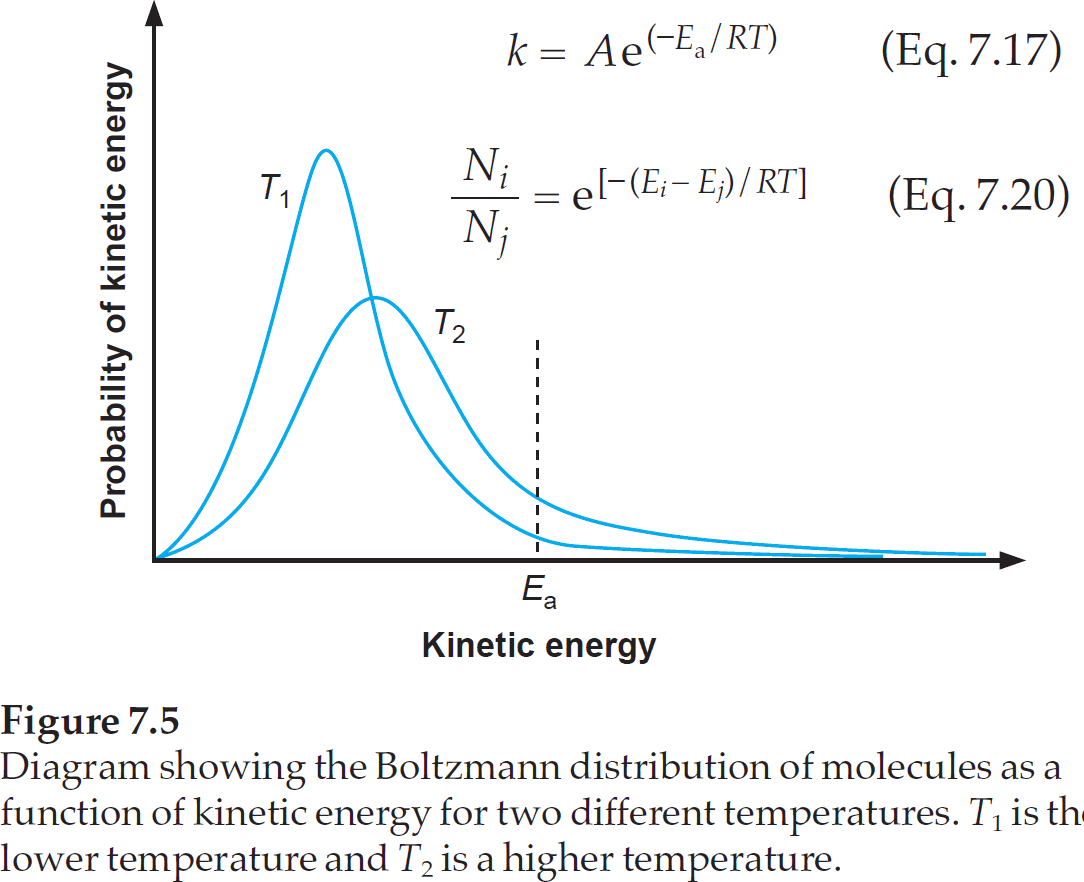 The number of molecules that have sufficient energy to do the reaction, can be calculated via the Boltzmann distribution.